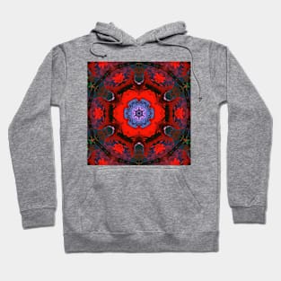 Psychedelic Hippie Red and Blue Hoodie